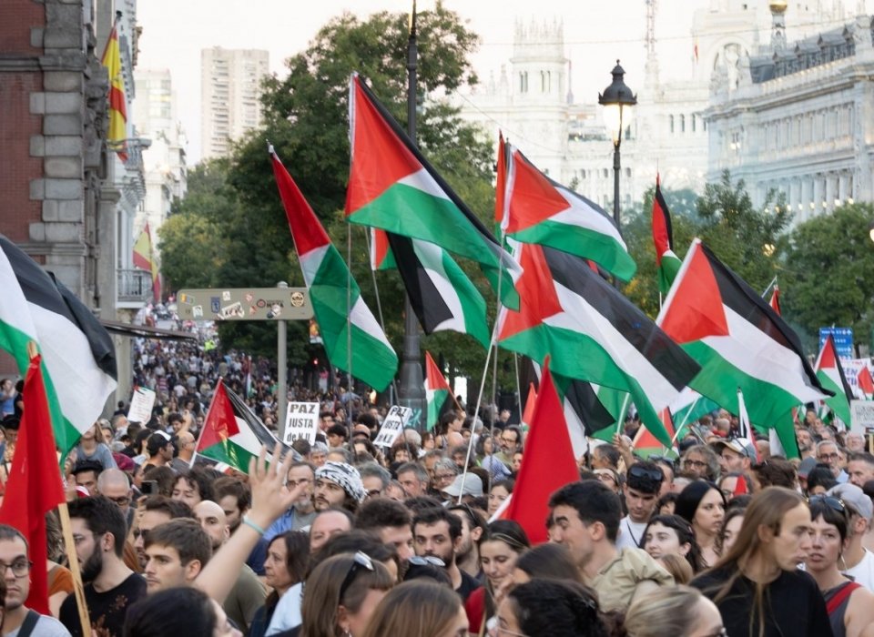 What Connects the World to Palestine