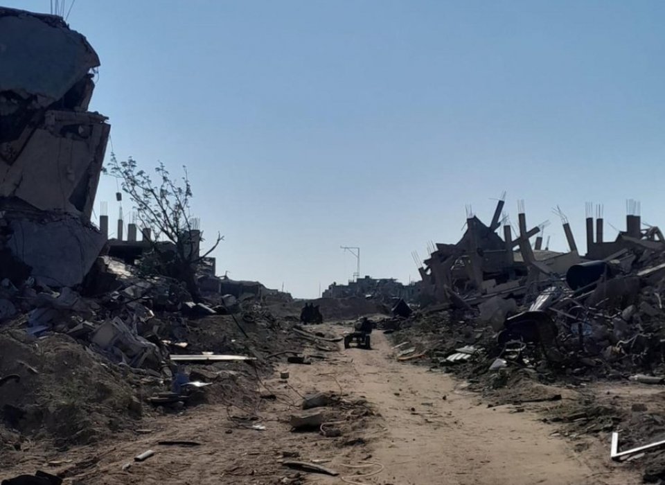 Green and Yellow: Two lines that separate me from my land