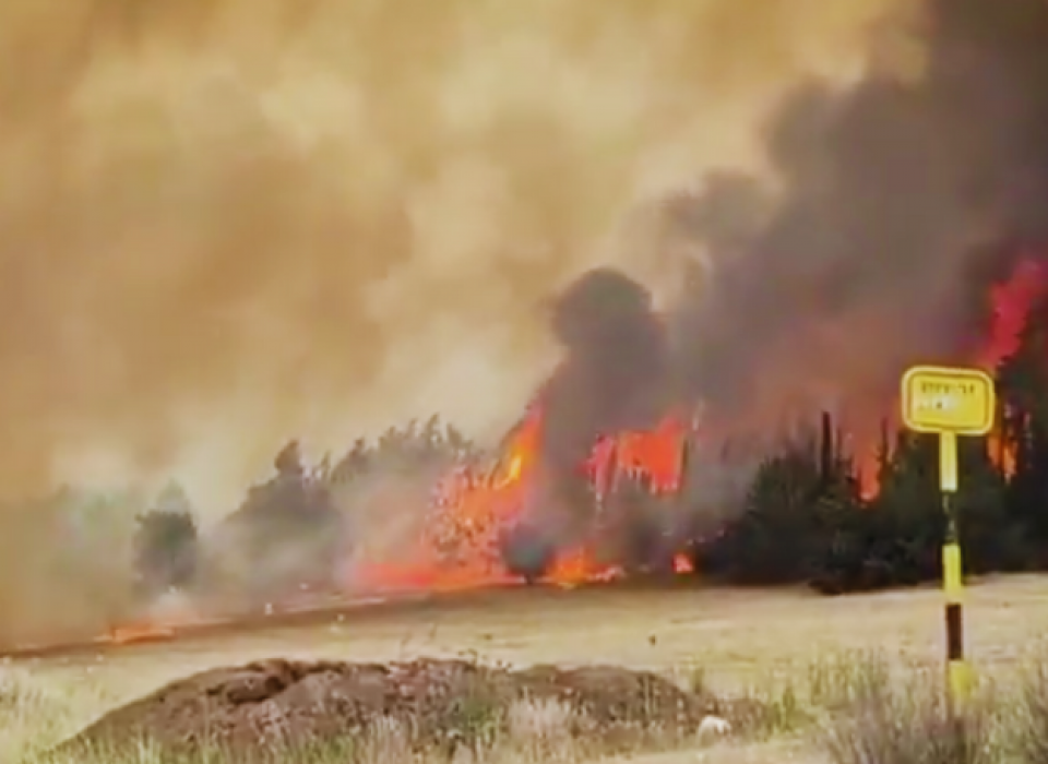 Fires Ablaze in a Stolen Land: A Failing Zionist Project in Flames