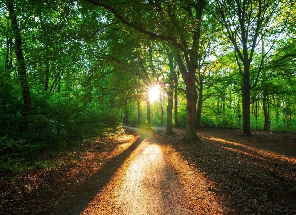 Our Friday News Analysis | What the World Reads Now!