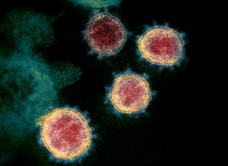 Coronavirus explained: 22 questions with epidemiologist guiding Israeli response