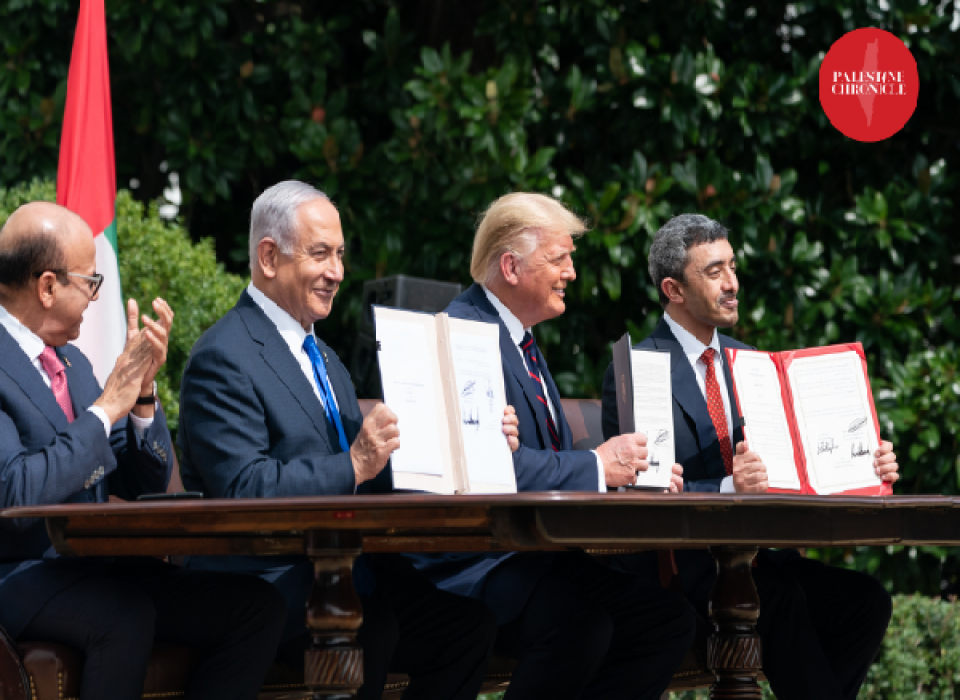 The Subsidized Occupation: The Black Gold, Palestine and the Arabs