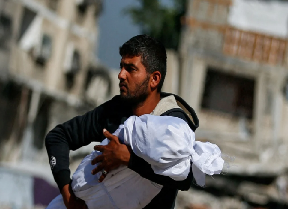 Top genocide scholars unanimous that Israel is committing genocide in Gaza: Dutch investigation